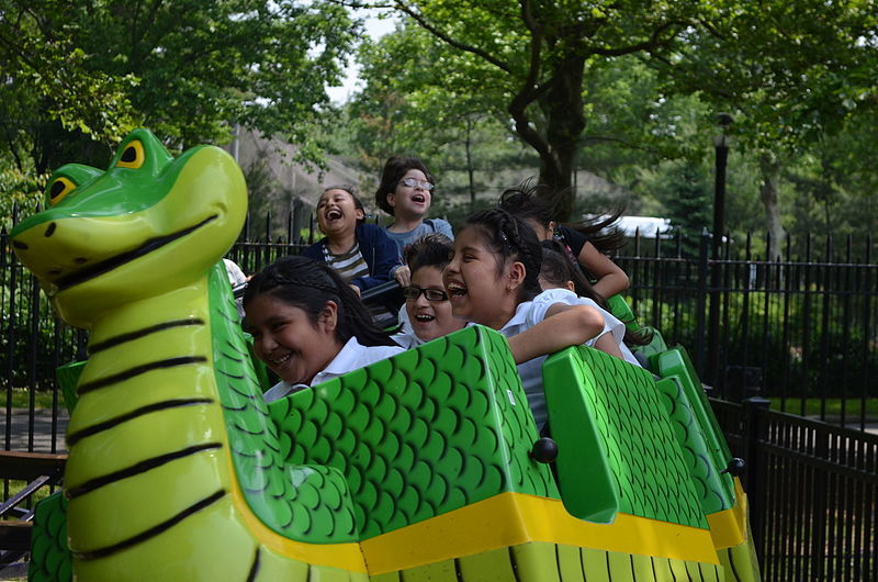 The Corona Cobra Roller Coaster