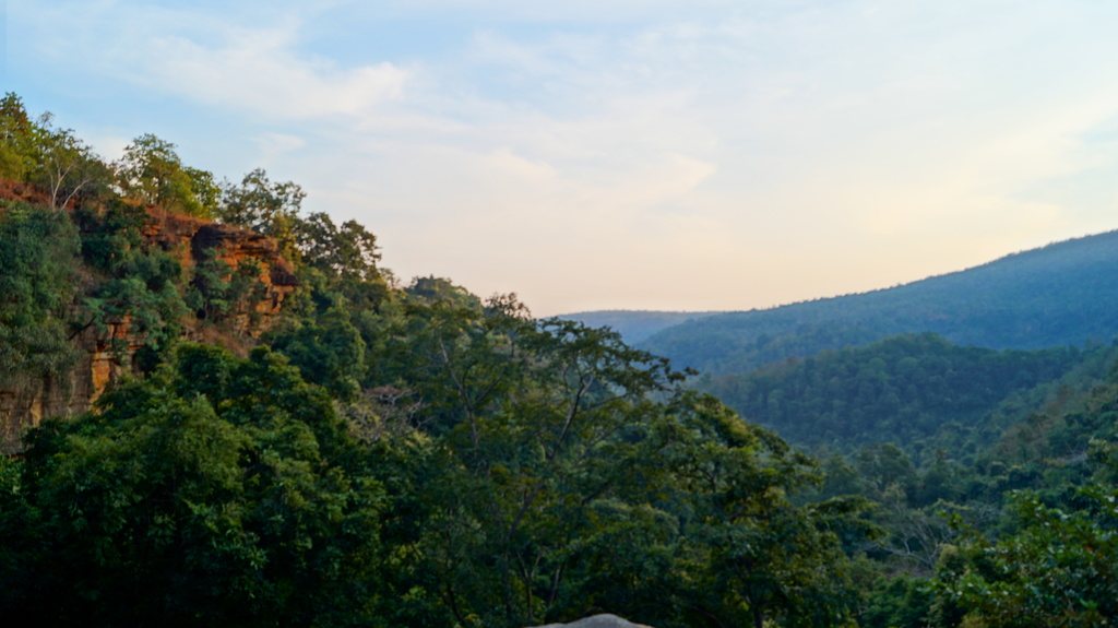 Landscape Gomarda