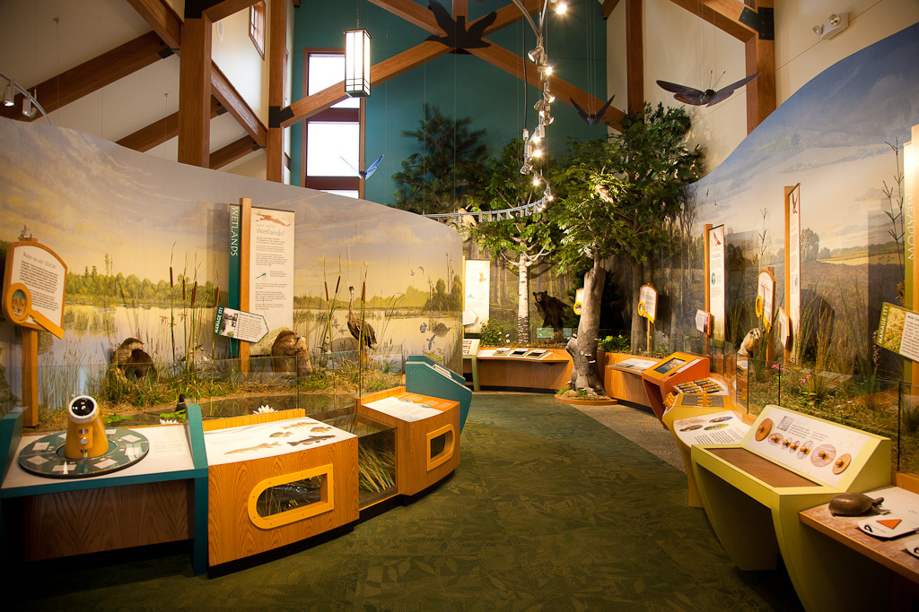 Interactive exhibits (5677442145)