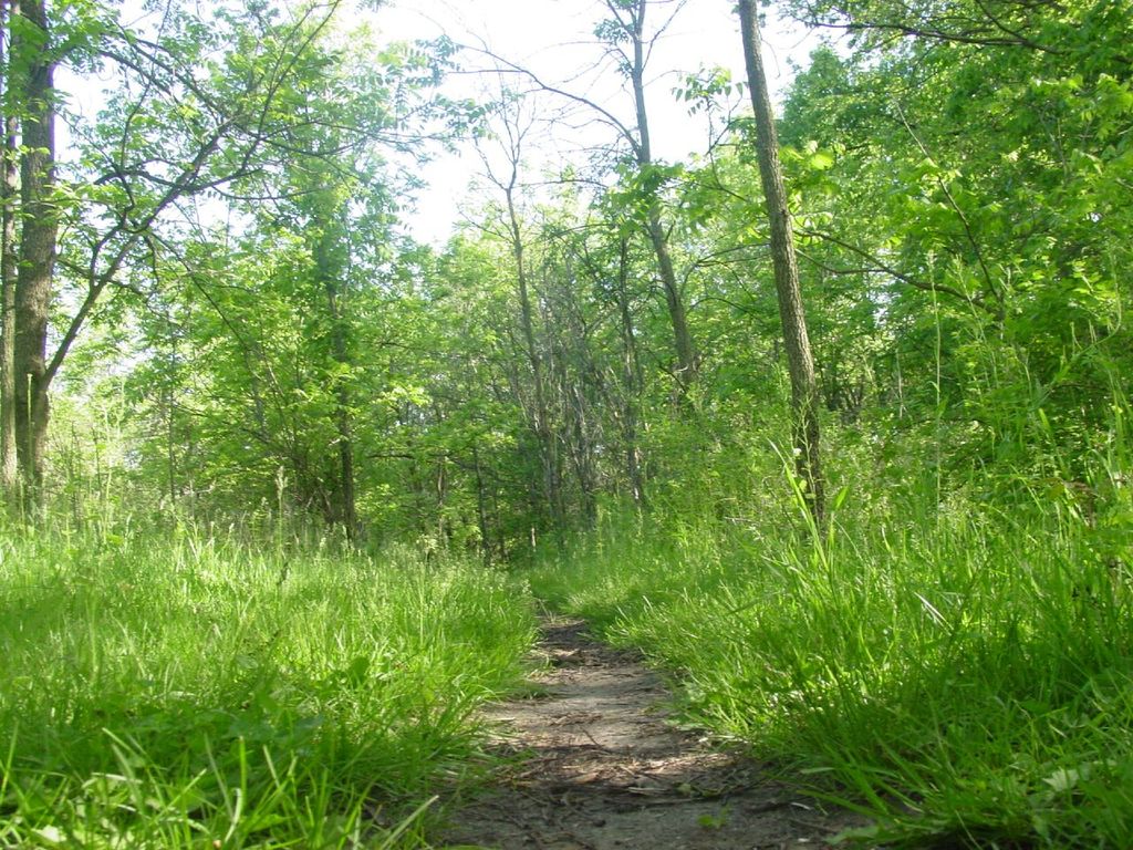 Janesville Outdoors