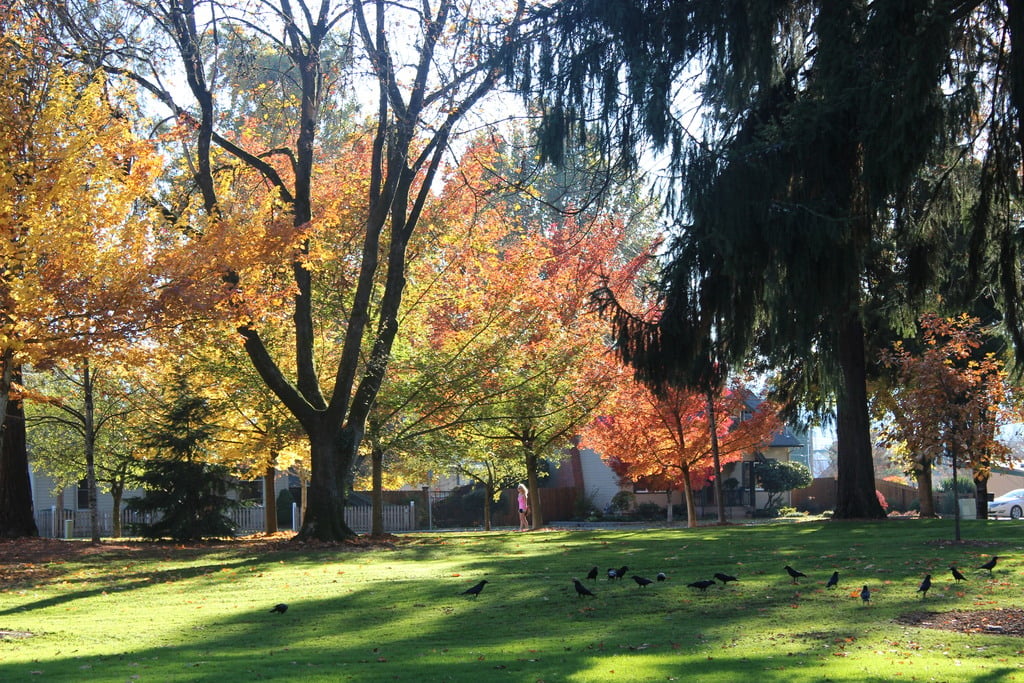Grants Pass ,Or.Riverside Park