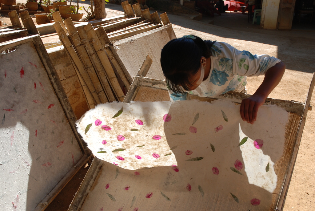 Paper making Burma 5