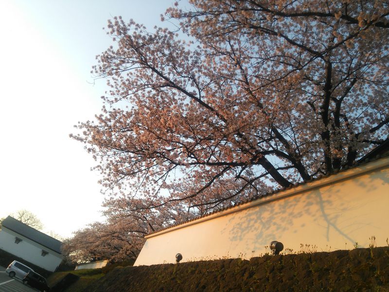 Aizu Bukeyashiki