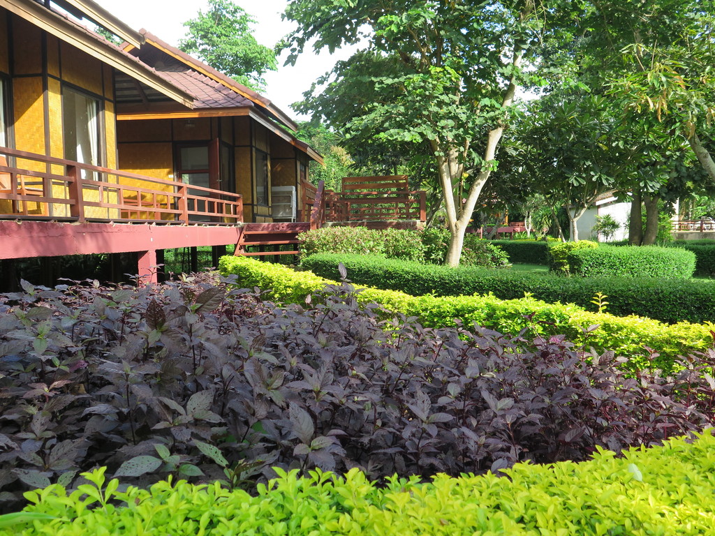Baan Krating Pai Resort