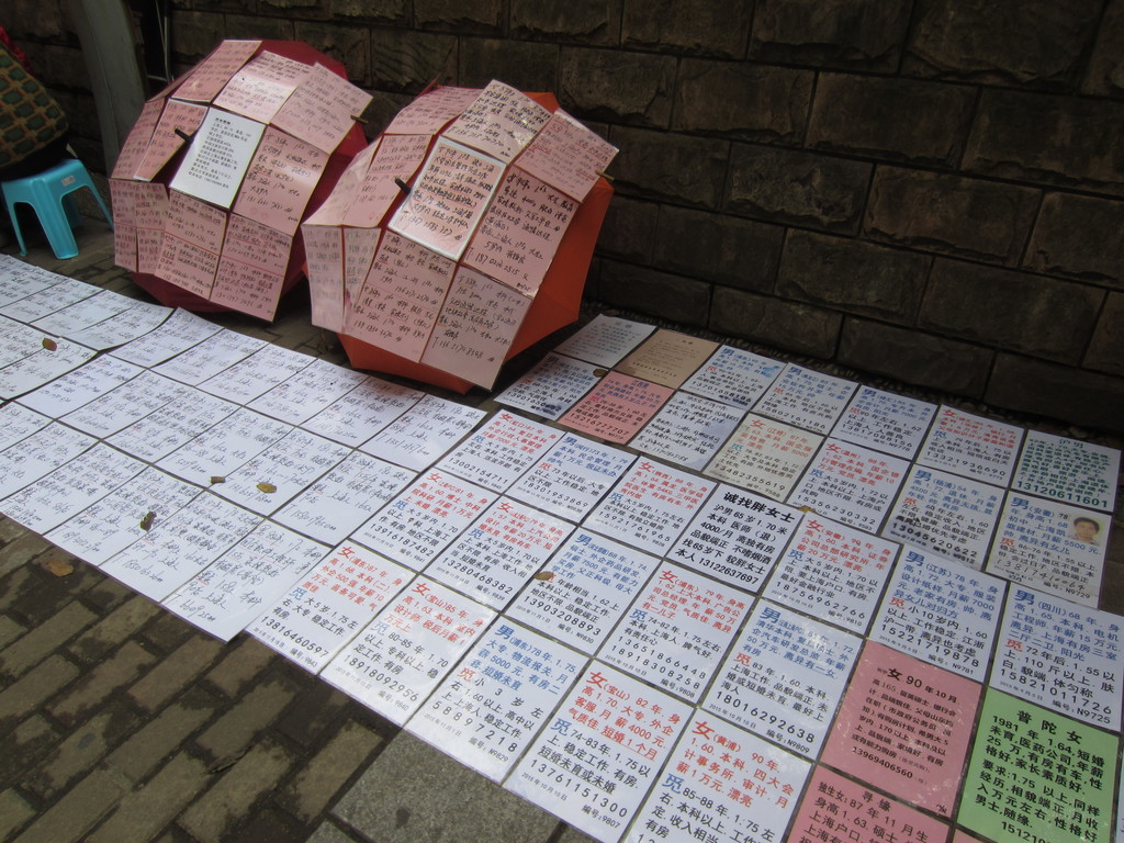Shanghai marriage market, December 2015 - 05