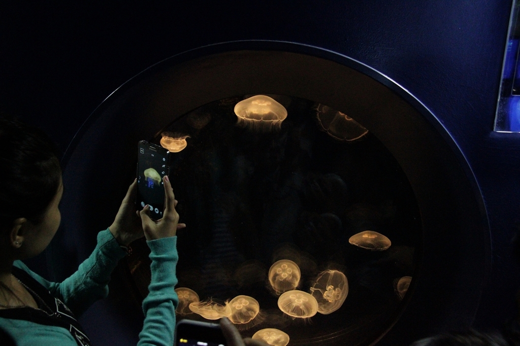 China - Shanghai Ocean Aquarium 03