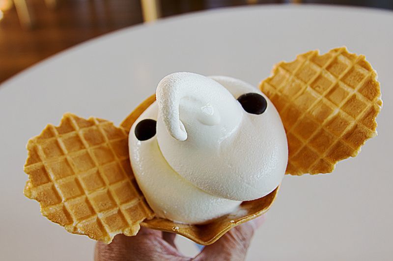 Elephant ice cream from Zou no Hana Terrace Cafe