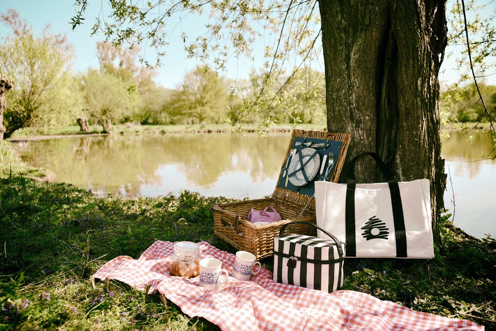 picnic by the lake