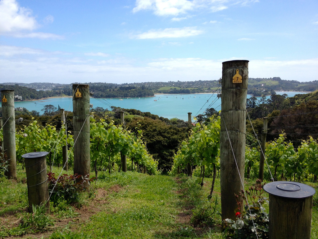 Waiheke Island
