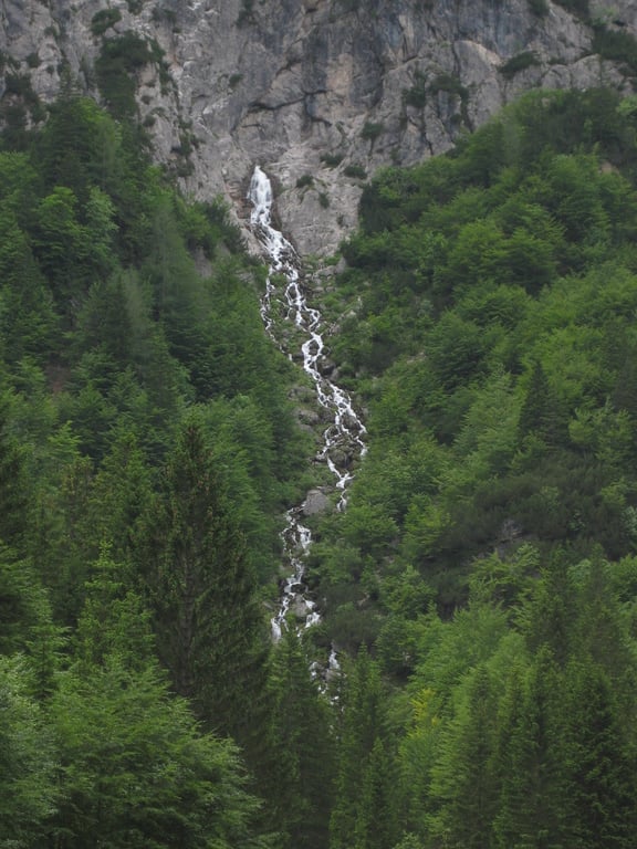 Nadiza-Tamar
