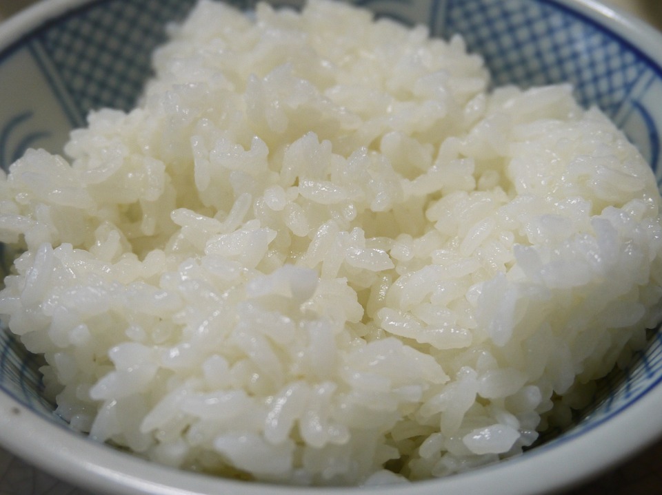Koshihikari rice