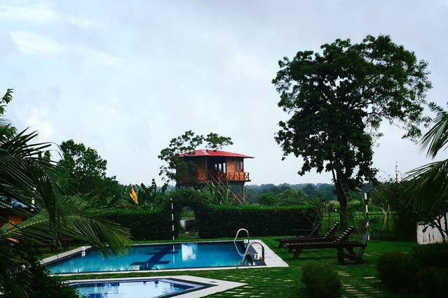 tree house living, sigiriya