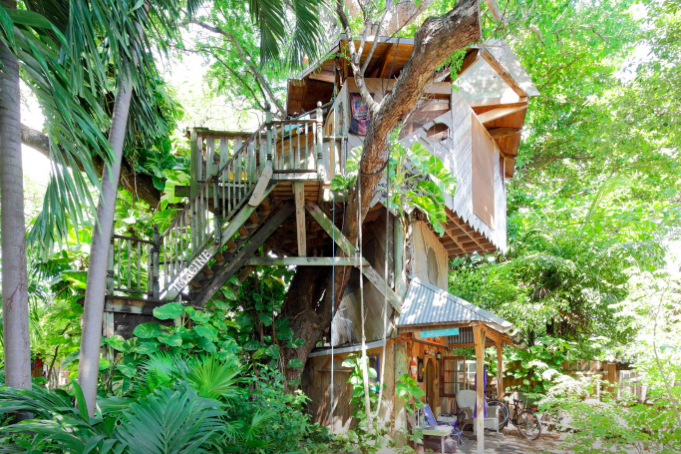 Cabane dans les arbres