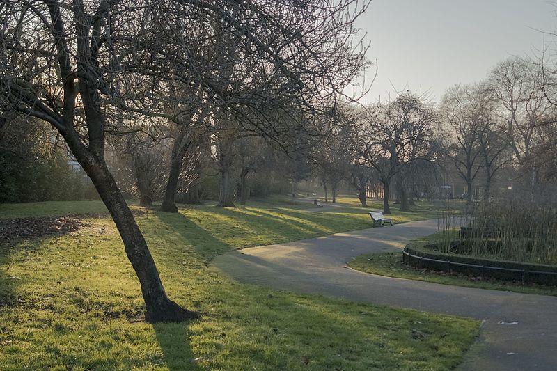 Myatt's Fields Park in winter