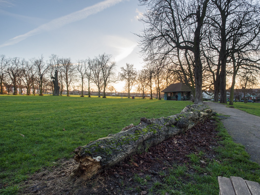 Sunset over Ruskin Park