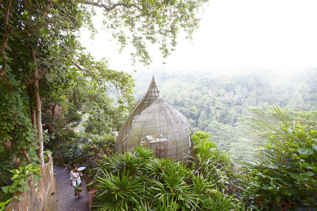 bird nest romantic dinner in the heart of ubud