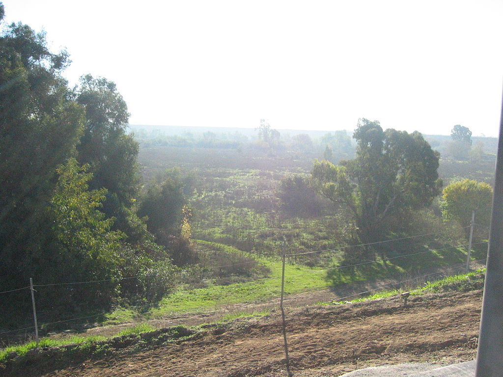 Whittier Narrows Basin