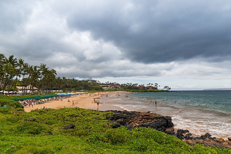 Relax at Wailea beach Maui, Hawaii (31868911288)