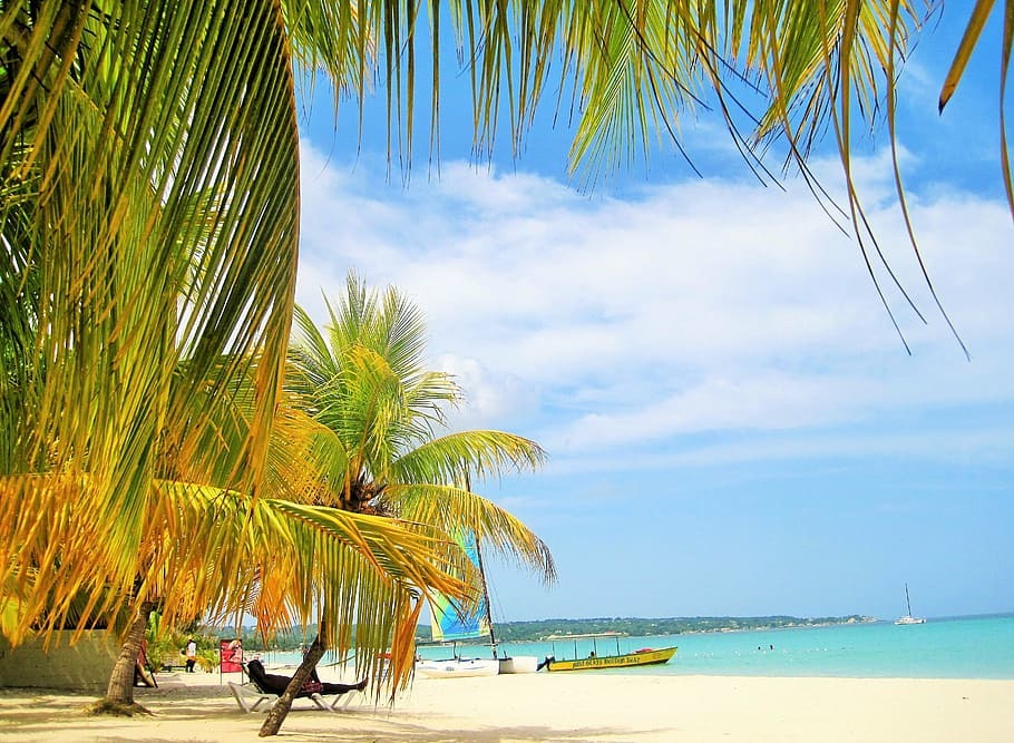 Jamaican beach