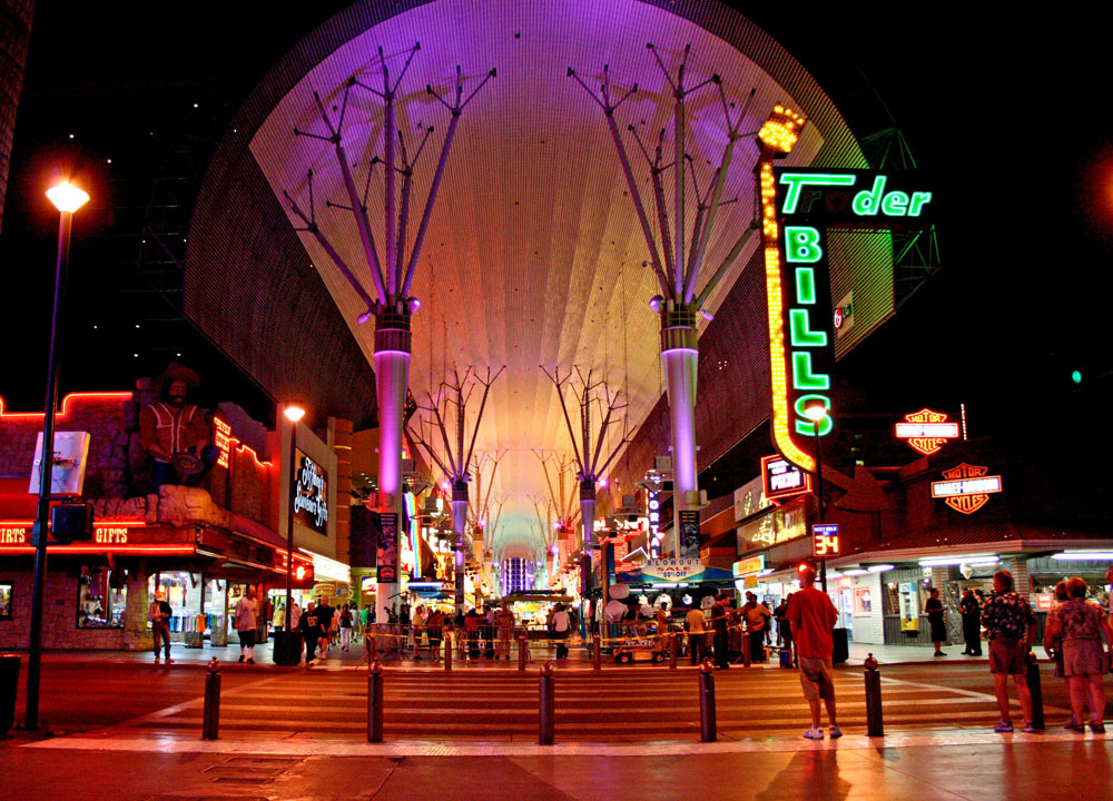 Night life