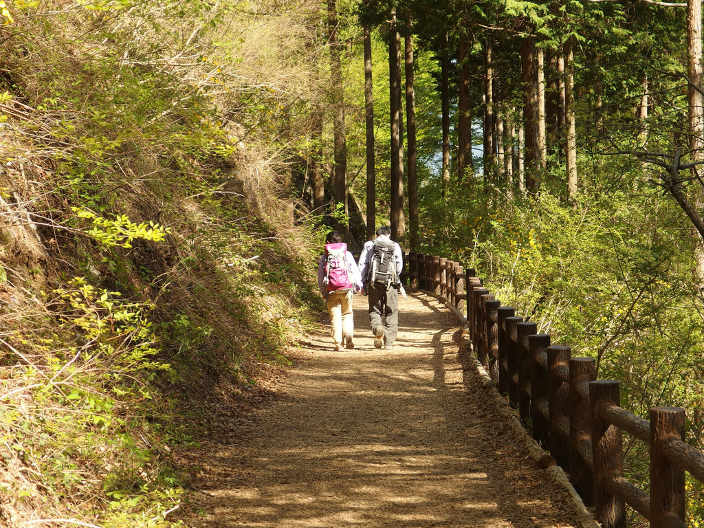 Forest Therapy Road @ Tomin-no-Mori @ Hike to Mount Sengenrei & Mount Mito