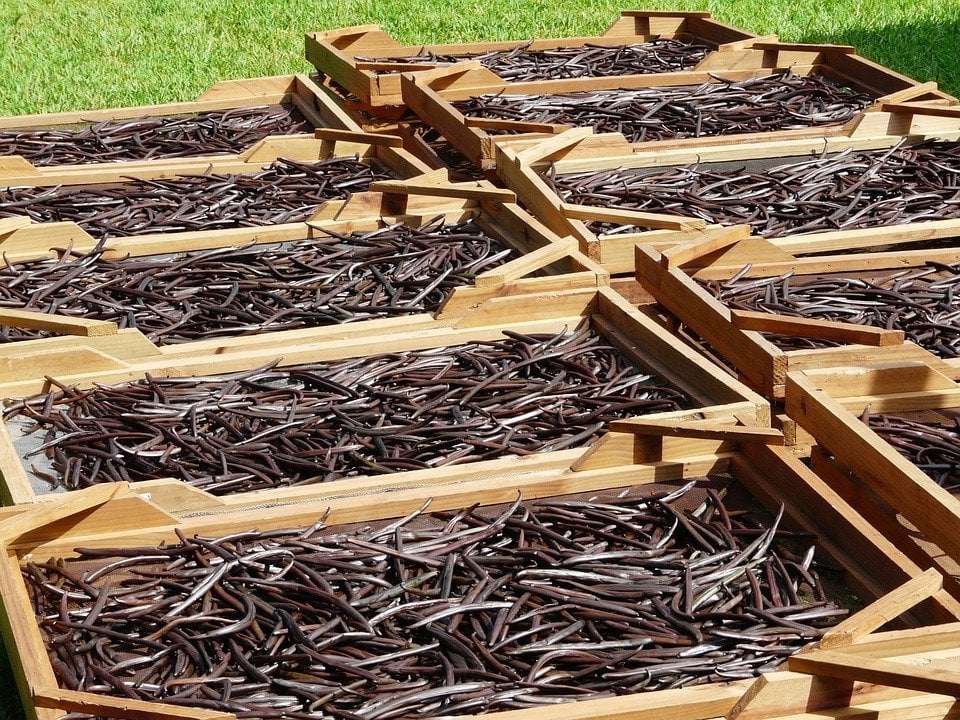 Vanilha Factory