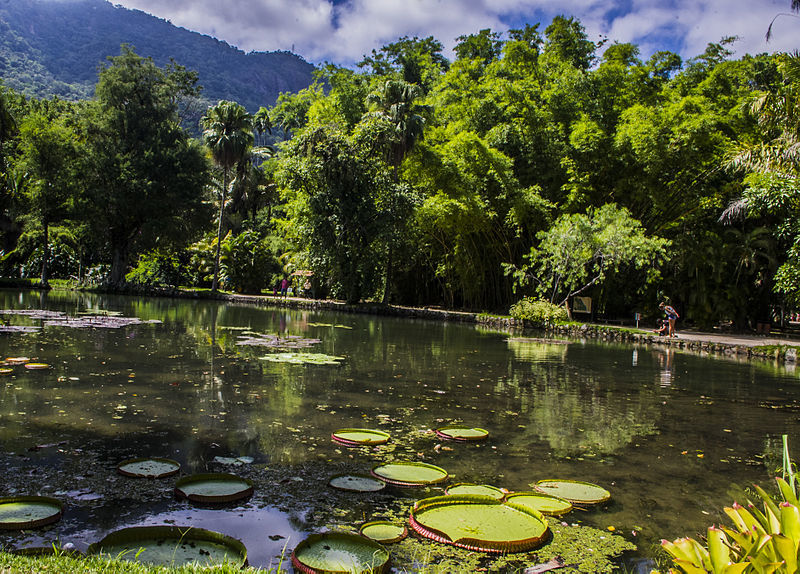 Parque nacional de tijuca
