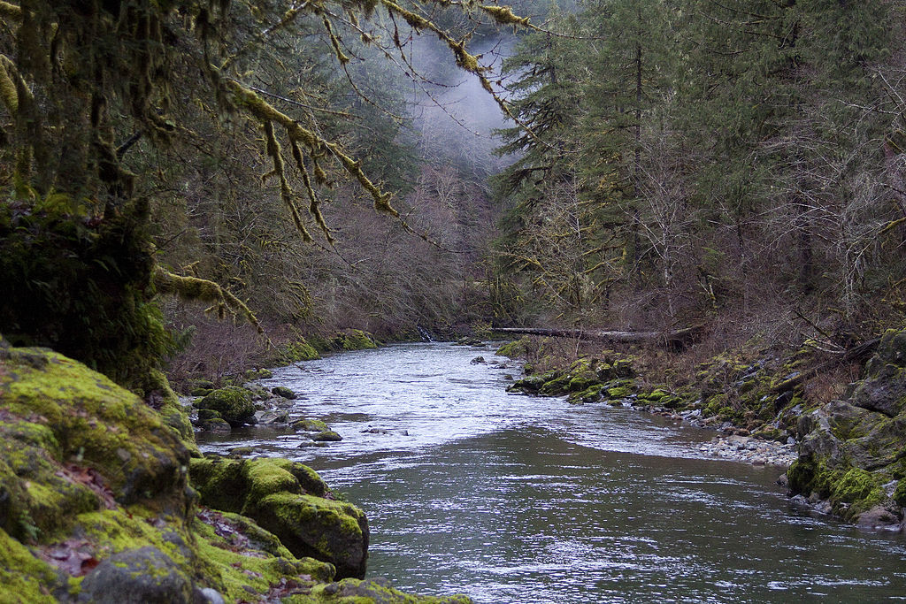 Elkhorn Creek