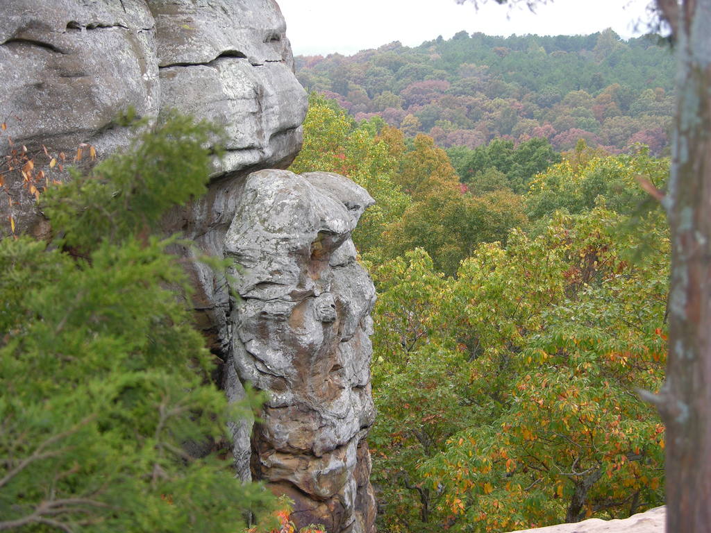 Shawnee National Forest- Garden of the Gods