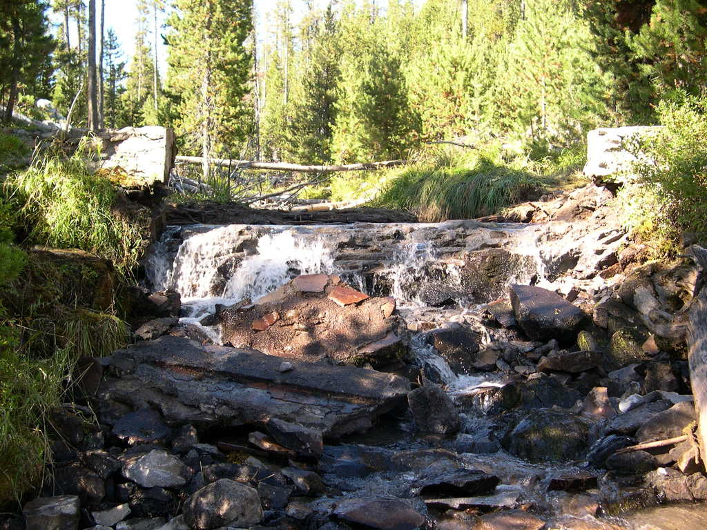 Winema National Forest