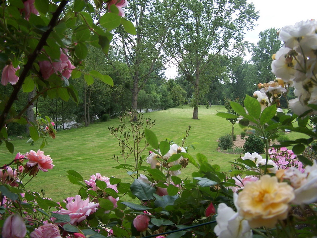 Jardins du Gué, Grande prairie vue de la roseraie