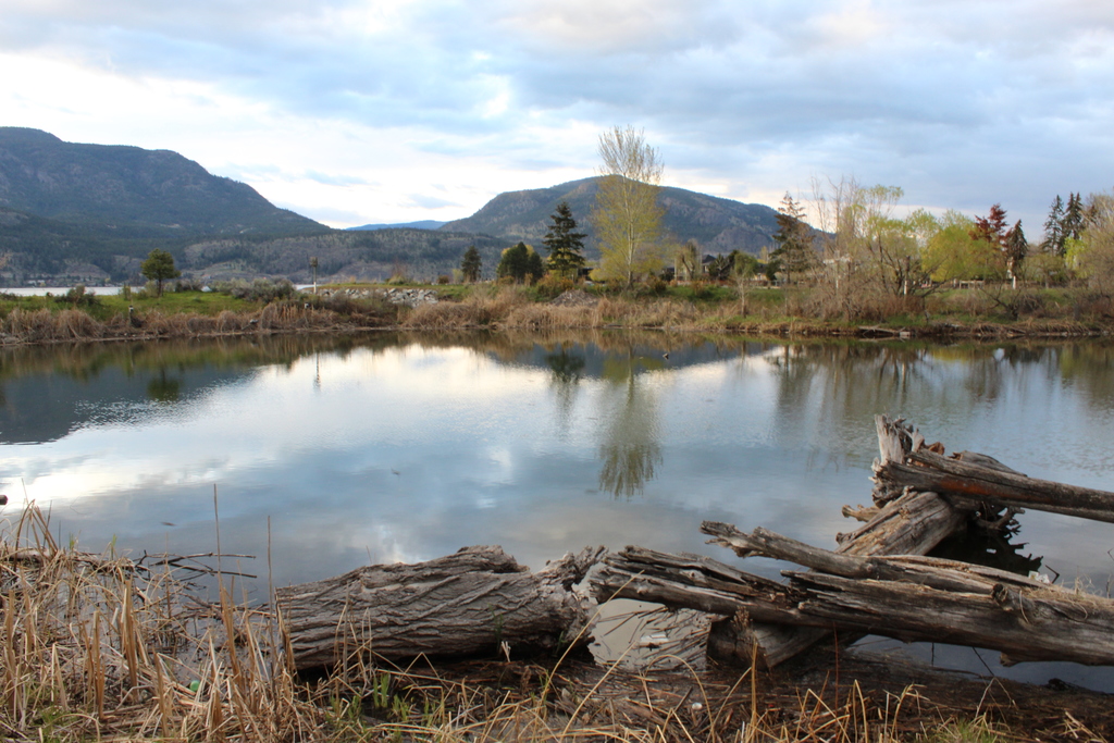 Water front park Kelowna