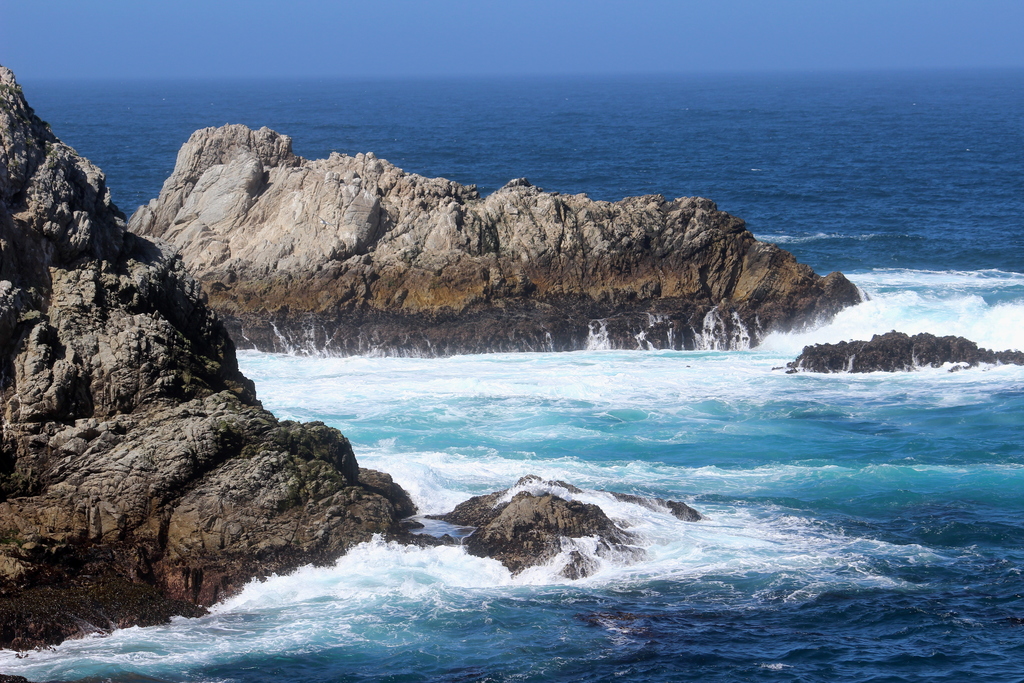 Carmel Point Lobos