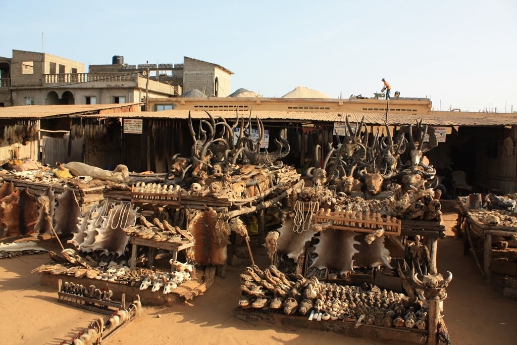 Akodessawa Fetish Market 2008