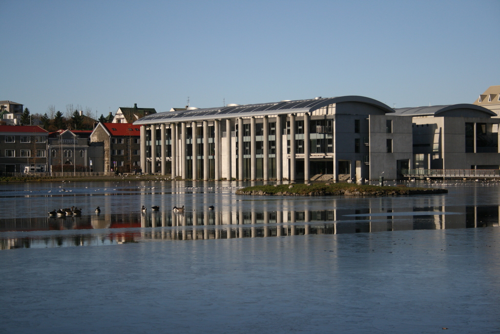 Reykjavik City Hall and Ducks!