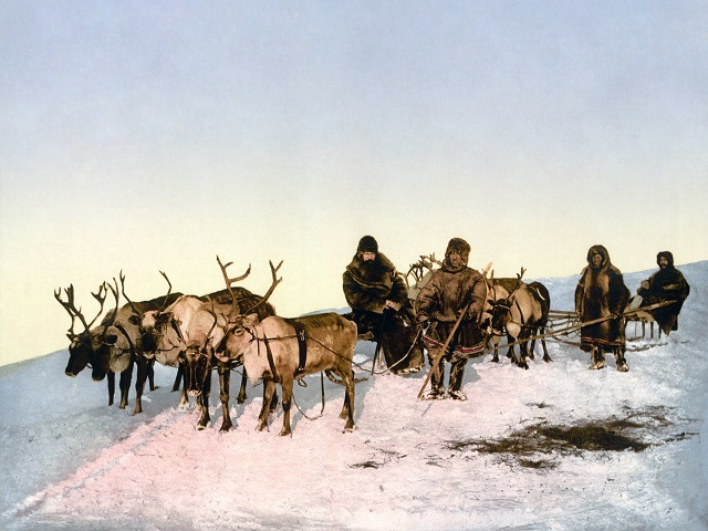 Reindeer Sledding