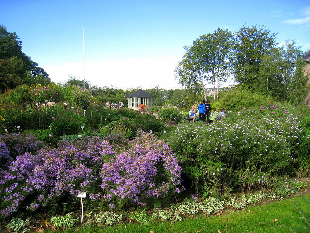 University Botanical Garden Oslo