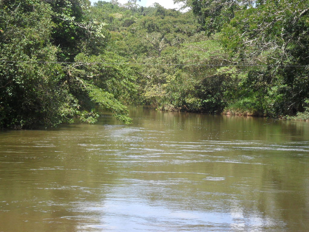 Rio Uberabinha - panoramio