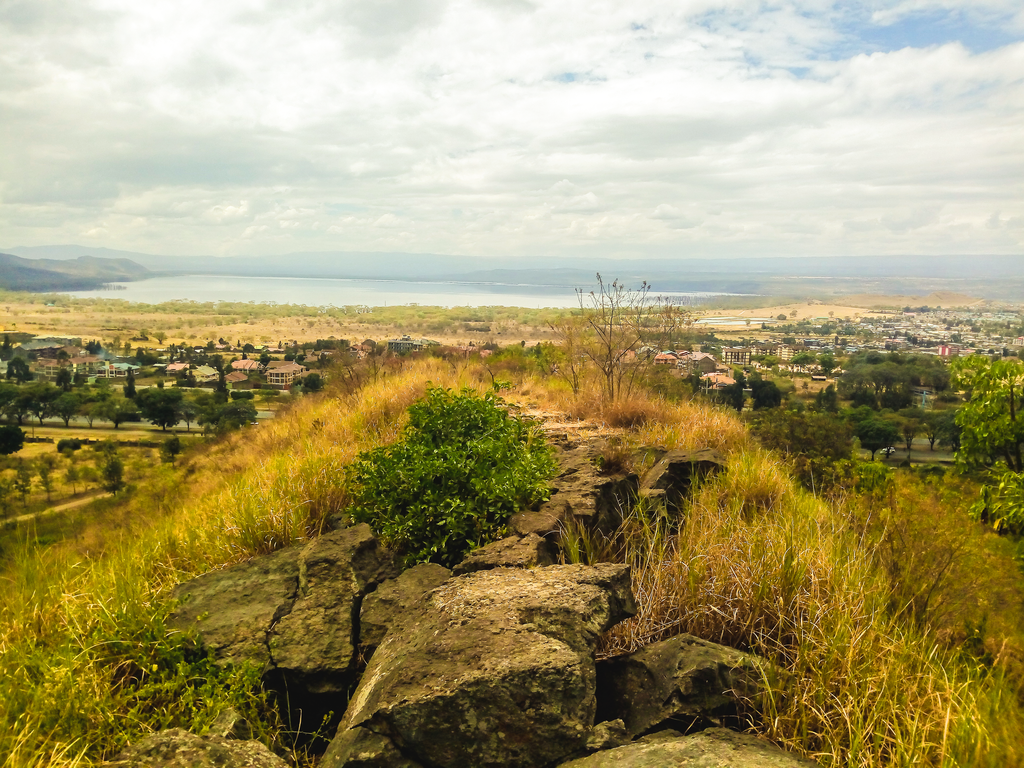 Hyraxx Hill