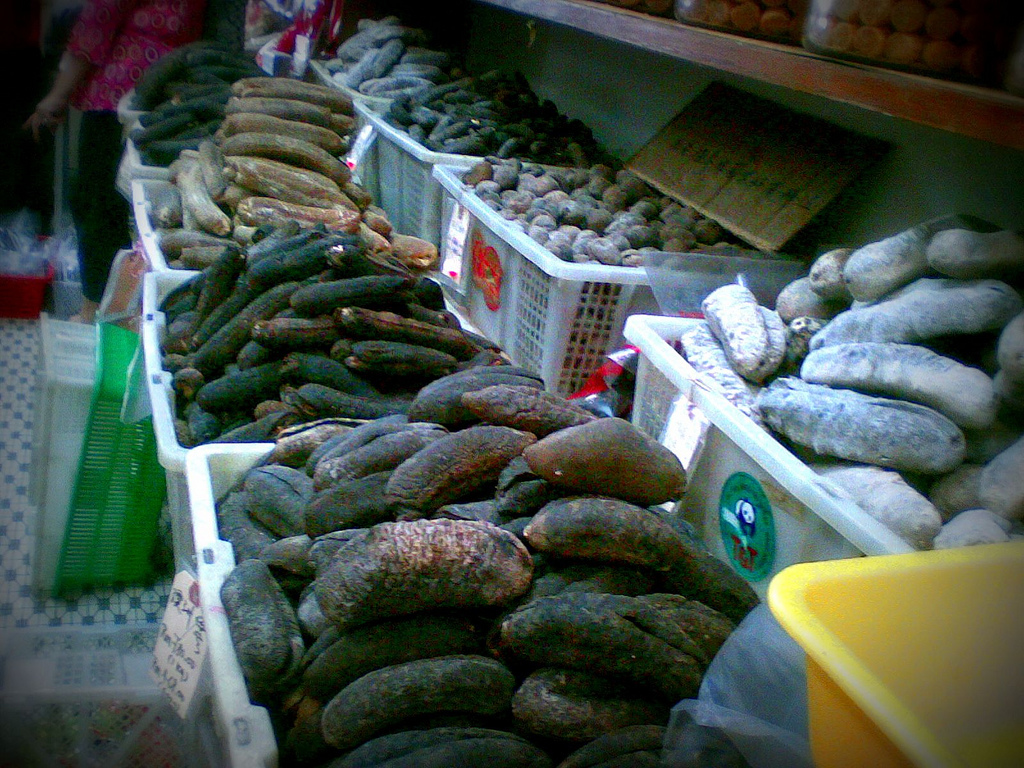 Dried sea cucumber