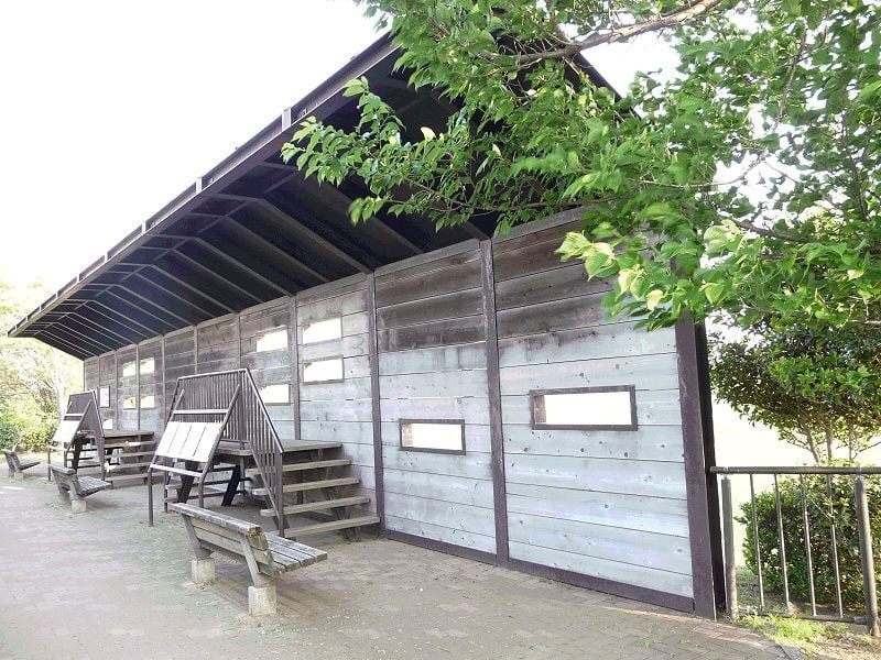Birdwatching bird hide blind