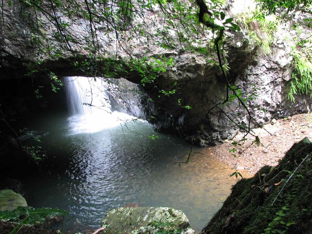 Natural Bridge Gold Coast Hinterland