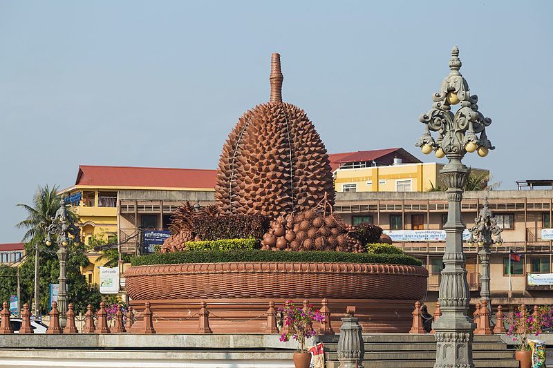 2016 Kampot, Rondo duriana (04)