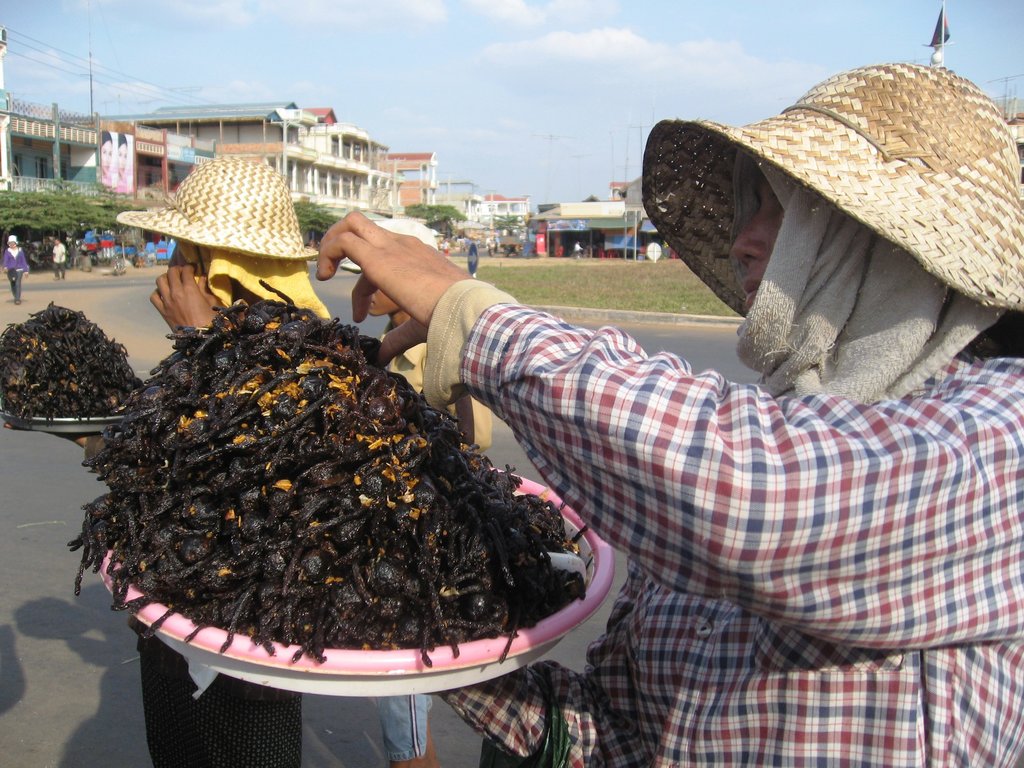 Fried tarantula Cambodia