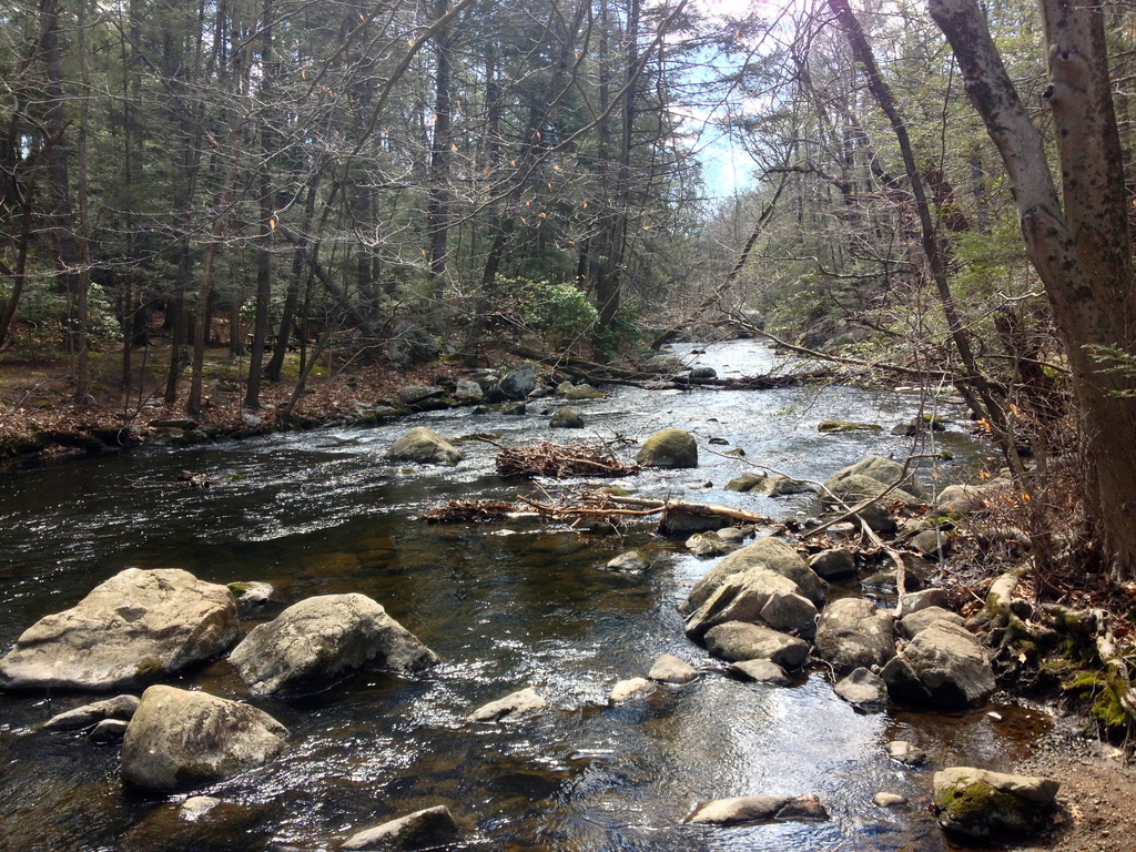 Mianus River Park - Mianus River from west river bank