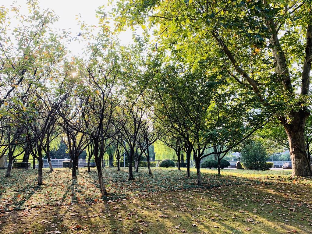 Woodlands Park