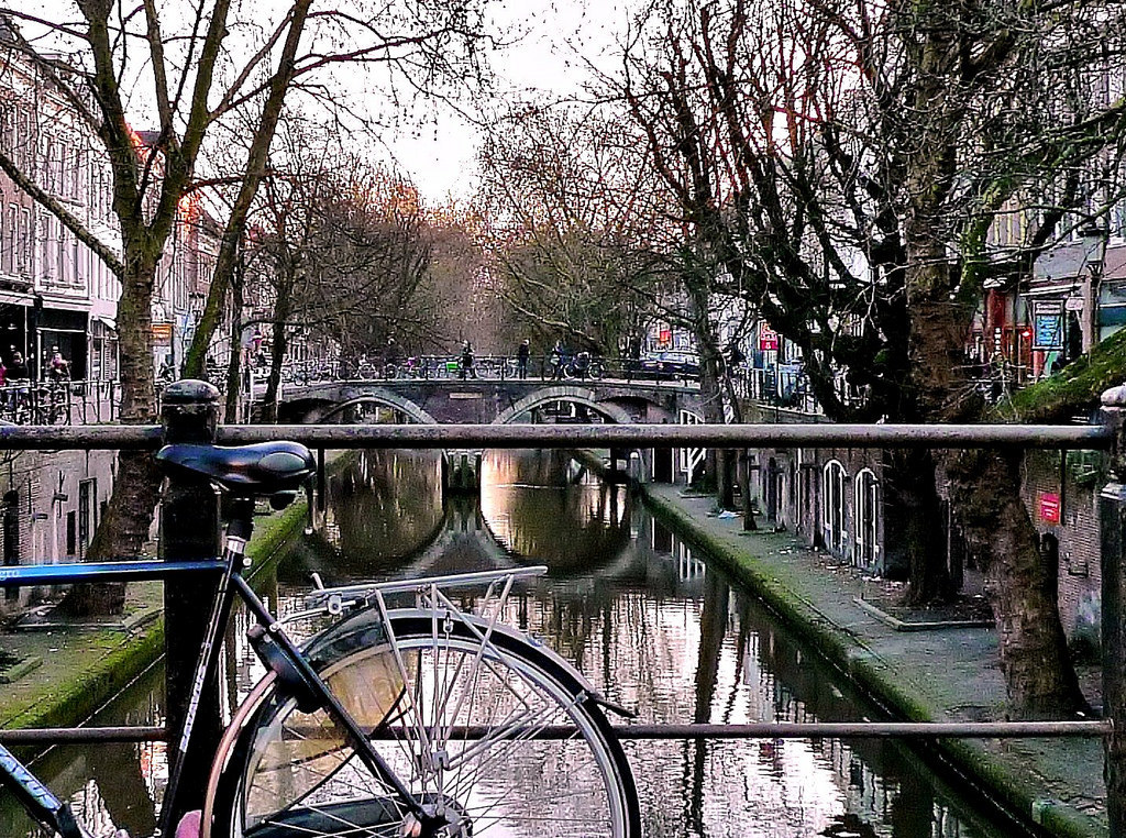 dutch scene