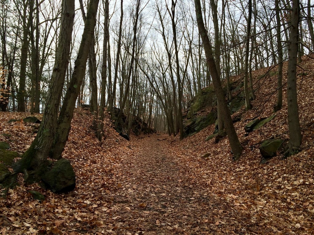 The Larkin Trail in Whittemore Glen State Park in Naugatuck Connecticut