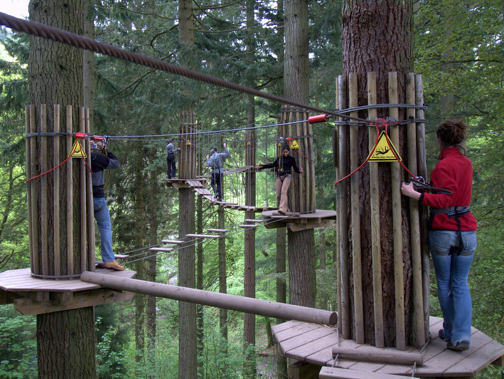 go ape in Grizedale forest