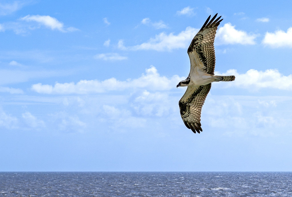 Top 10 Things To Do In Oakham, England Trip101